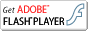 Get the latest version of Flash Player